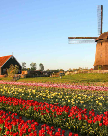 Netherlands